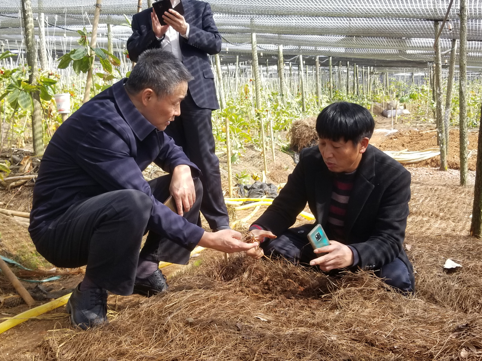 B928BEA29D534635E13467CCF43_5DC2C168_29953D.jpg?e= 首页- 人生就是博中国官方网站