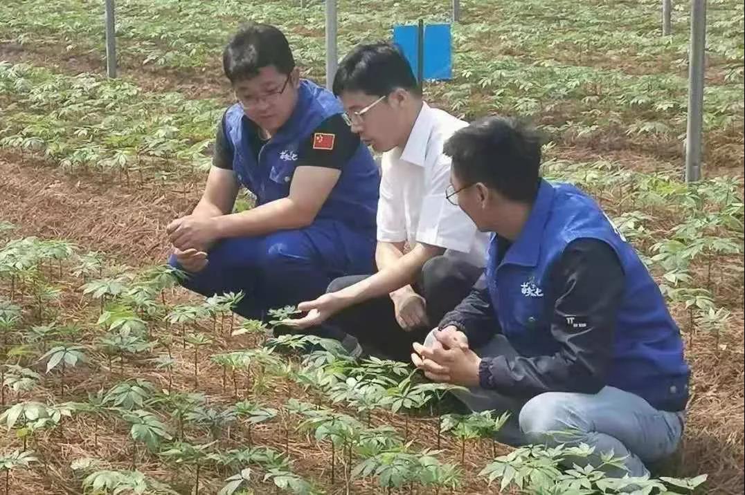 首页- 人生就是博中国官方网站